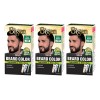 Mayoreo 3piezas Tinte Bigen Men's Barba · Negro Natural B102