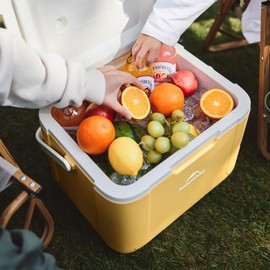 Naturehike 19 QT Hard Cooler, Mini Insulated Ice Chest Box, Portable Ice Retention Cooler for Beach Camping Picnic Fishing Barbecue
