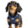 rabbitgoo Small Dog Harness, Step-in Soft Mesh Puppy Vest with