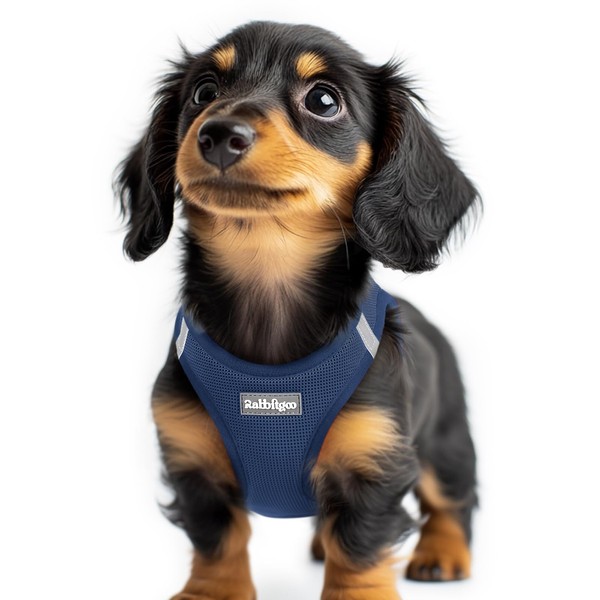 rabbitgoo Small Dog Harness, Step-in Soft Mesh Puppy Vest with