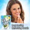 ICE BREAKERS Ice Cubes Variety Fruit Flavored, Sugar Free Gum