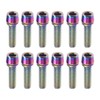 SG Store 12 Pcs Bicycle Screws M5 x 17mm Titanium