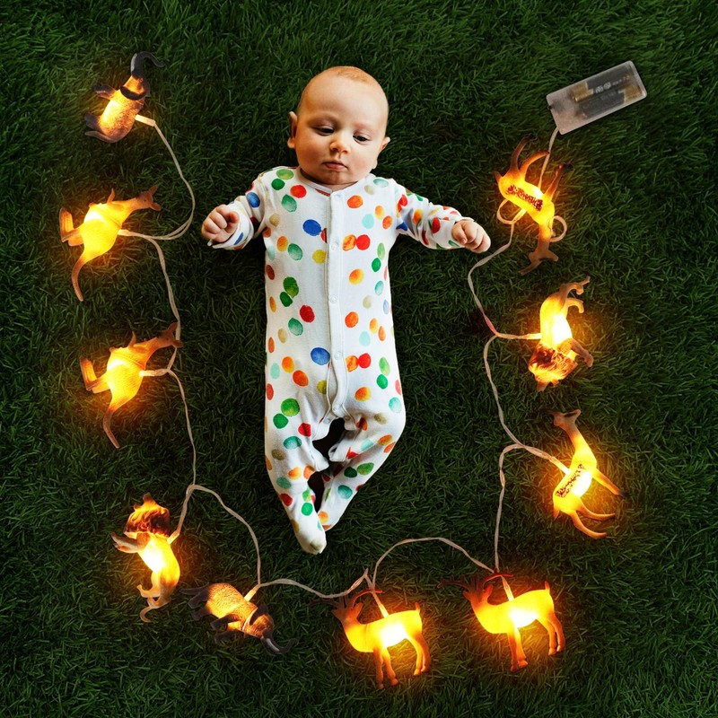 Animal String Lights 10 LEDs Small Animals String Lights Children