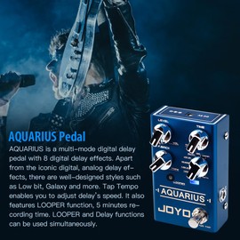 JOYO Digital Delay Effect Pedal with Looper (5 Minutes) R Series 8 Digital Delay Effects for Electric Guitar (Aquarius R-07)