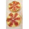 Profig Rare Azadi Pomegranate Tree – Sweet, Productive, & Easy