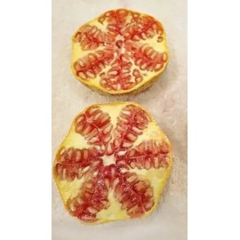Profig Rare Azadi Pomegranate Tree – Sweet, Productive, & Easy to Grow!