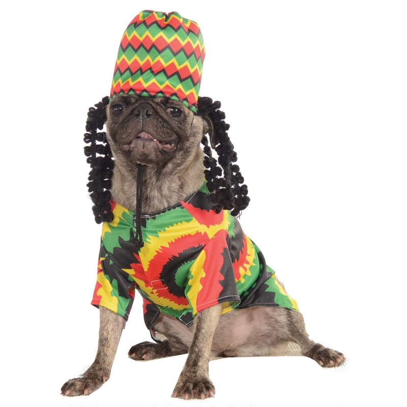 Rubies Pizza Slice Pet Costume for Dogs or Cats, Medium