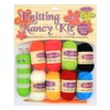 Sullivans Knitting Nancy Kit