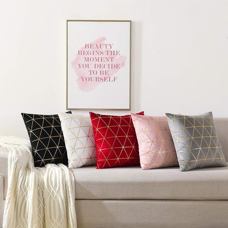 NordECO HOME Pack of 2 Throw Pillow Covers Cases -