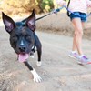 ZippyPaws Climbers Rope Heavy Duty Dog Leash - Thick Leashes
