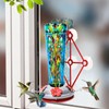 Window Hummingbird Feeder with 5 Strong Suction Cup 16 Ounces