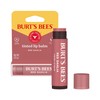 Burt's Bees Lip Tint Balm, Long Lasting 2 in 1
