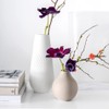 Villeroy & Boch Collier Blanc Vase Pearl
