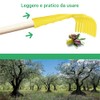 Crisalide - 5 Pieces Olive Rake Comb 9 Teeth Plastic