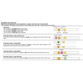 Urinary Tract Infection Urine Test Strips | UTI Tests for Women & Men | 3 Pack