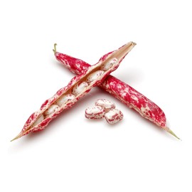 Pinto Bean Seeds (Phaseolus vulgaris) – 30+ Non-GMO Heirloom Seeds by Isla’s Garden Seeds, Nutritious & Flavorful Beans, Great for Soups, Stews & Homemade Dishes, Easy to Grow Garden Favorite, Gift