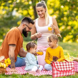 Blleshelfl Picnic Blanket 200 x 200 cm, Picnic Blanket, Red Chequered, Foldable Outdoor Camping Blanket for Hiking, Travel, Outdoor, Camping, Parks