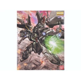 Bandai Hobby Strike Noir, Bandai Master Grade Action Figure