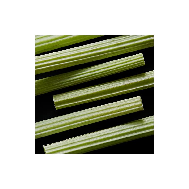 SHIRO Rawanbuki Face Wash, 5.3 fl oz (150 ml) (Without