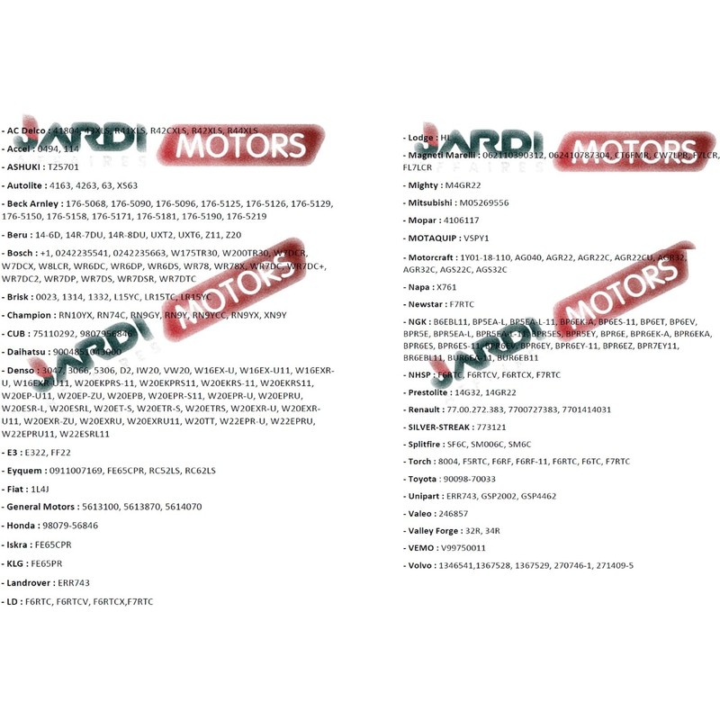 Jardiaffaires Champion RN9YC Spark Plug for Thermal Engine