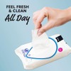 Summer’s Eve, Ultimate Smell Protection Daily Feminine Wipes, 32 Count