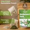 50 Bags Motherwort Tea Dried Motherwort Herb (Leonuri Herba) -