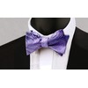 Alizeal Mens 2pcs Gradient Color Classic Paisley Self-tied Bow Tie