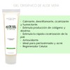 Gel Orgánico de Aloe Vera y Lavanda -Calmante, Regenerante y