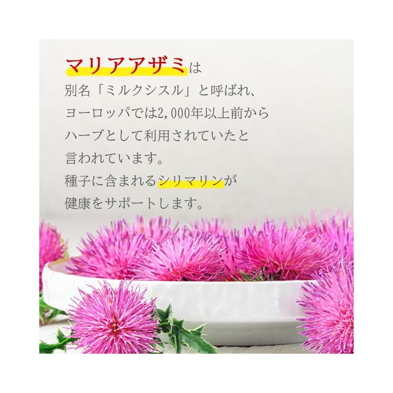 Lipsa Maria Thistle, Approx. 1 Month Supply x 3 Bags,