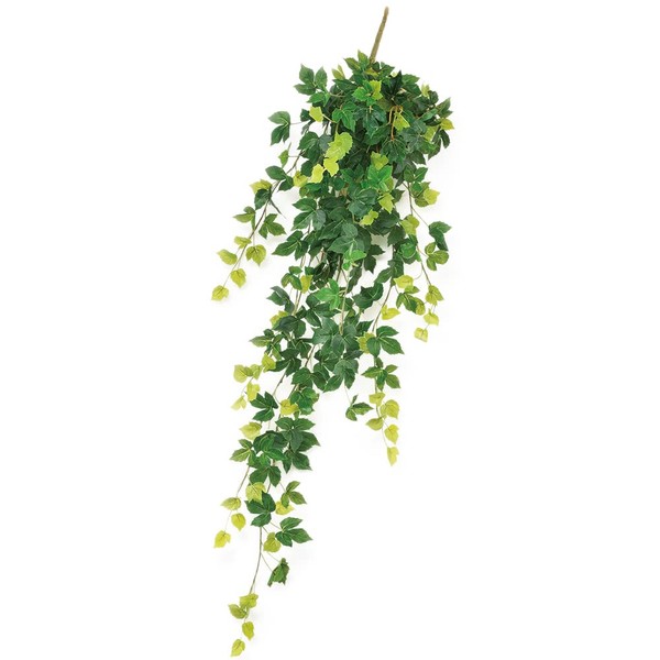 Asuka A-43891-051A Artificial Flower, Boston Ivy Vine, Green, Approx. 42.5 x 15.7 inches (108 x 40 cm), Leaf Diameter: Approx. 1.4 - 2.8 inches (3.5 - 7 cm)