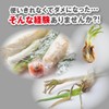 Freshness Preservation Bags for Vegetables and Fruits, 80 Pieces, Vegetables,