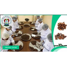 Gourmet Organic Cloves from Zanzibar 2024 Season - 100 Grams