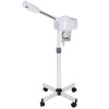 Segawe Professional Spa Beauty Equipment Facial Steamer Skin Care Ozone
