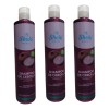 Shampoo De Cebolla Shelo Nabel