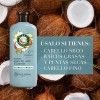 Acondicionador Herbal Essences Hidrata Agua de Coco Jazmín 400ml