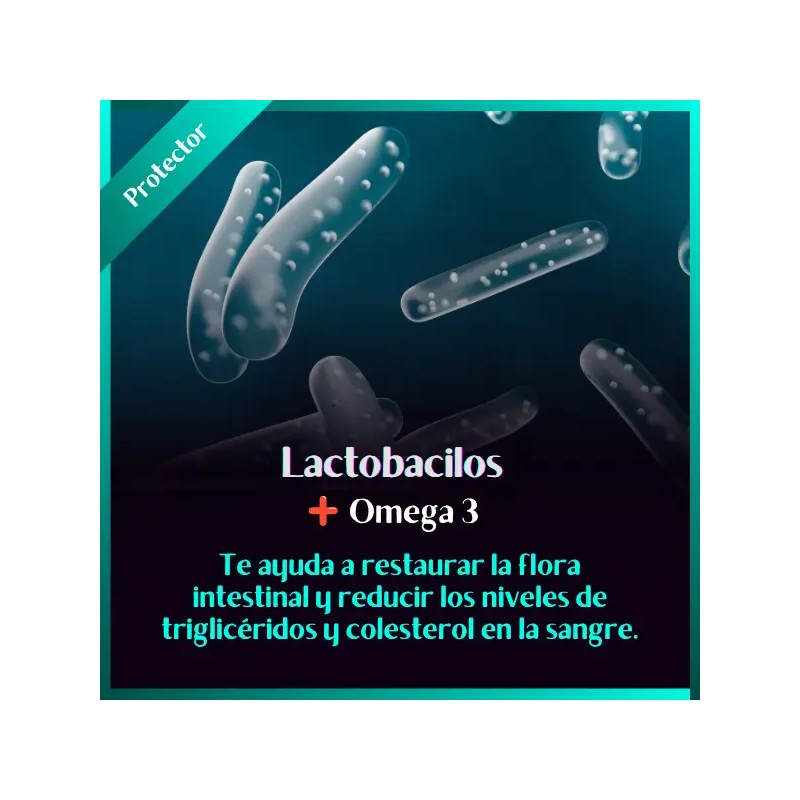 Pack Lactobacilos Omega Flora Intestinal Cps