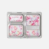Planetbox Launch Magnet Sets, Blossom Tie Dye