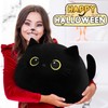 18.9 inch Giant Black Cat Plush Pillow Stuffed Animal Stuffed