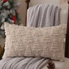 Allorry Christmas Pillow Covers 12 x 20 Set of 2