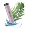 Shampoo Lakme Teknia Frizz Control Para Cabellos Encrespados 300ml