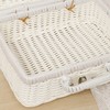 Woven Picnic Box Plastic Rattan Odorless Retro Woven Storage Box