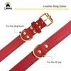LWBMG Leather Dog Collar,Heavy Duty Dog Collar,Soft and Strong Leather