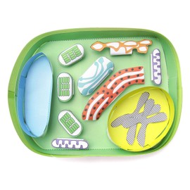 NewPath Simple Plant Cell 3-D Model Making Kit - Individual Student Edition (17-7731)