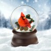 The San Francisco Music Box Company Hand Crafted Cardinal Snow