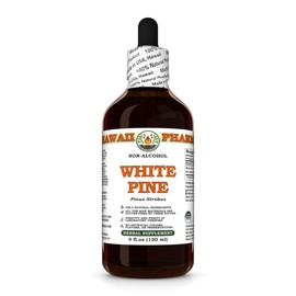 White Pine (Pinus Strobus) Dry Bark Glycerite, Made in Hawaii, All Natural, Vegan, Lab Tested Alcohol-Free Liquid Extract - 4 fl.oz