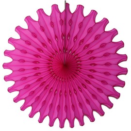 Devra Party 6-Pack 18 Inch Large Honeycomb Tissue Paper Fan (Cerise)