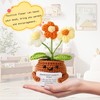Positive Flower Pot, Positive Crochet Doll, Emotional Support Crochet Plant