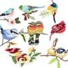 CattleyaHQ Pack of 8 Birds Appliques, Exquisite Embroidered Birds Patches,