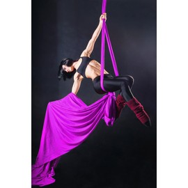 PRIORMAN Aerial Silks Set, Premium Ariel Yoga Hammock 9 Yards Aerial Silk, Low-Stretch Fabric, Yoga Starter Kit for Home, Aerial Rig for All Skill Levels - All Hardware Included (Violet)