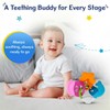 Chicco Baby Senses Sea Creatures Teether rattles (Multicolour, Any gender)